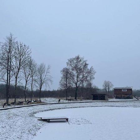 Arciau Gamtos Anyksciai Villa Kurkliai Kültér fotó