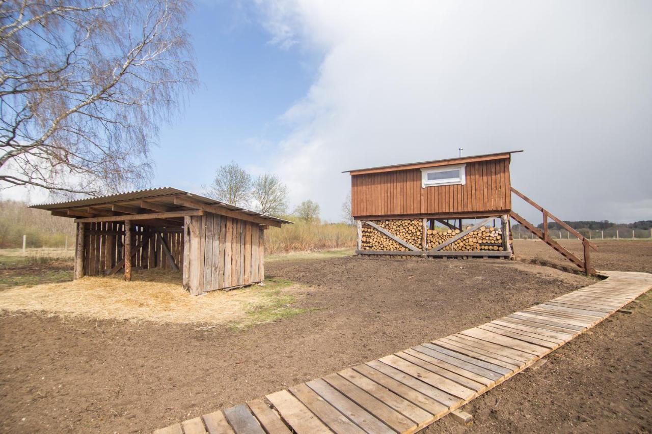 Arciau Gamtos Anyksciai Villa Kurkliai Kültér fotó