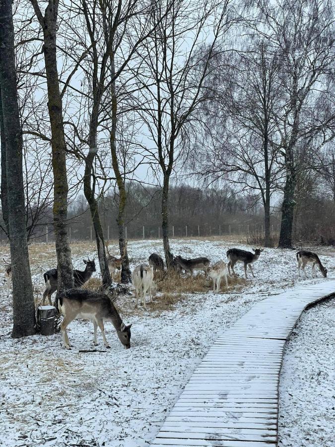 Arciau Gamtos Anyksciai Villa Kurkliai Kültér fotó