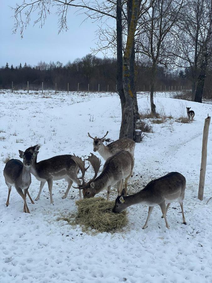 Arciau Gamtos Anyksciai Villa Kurkliai Kültér fotó