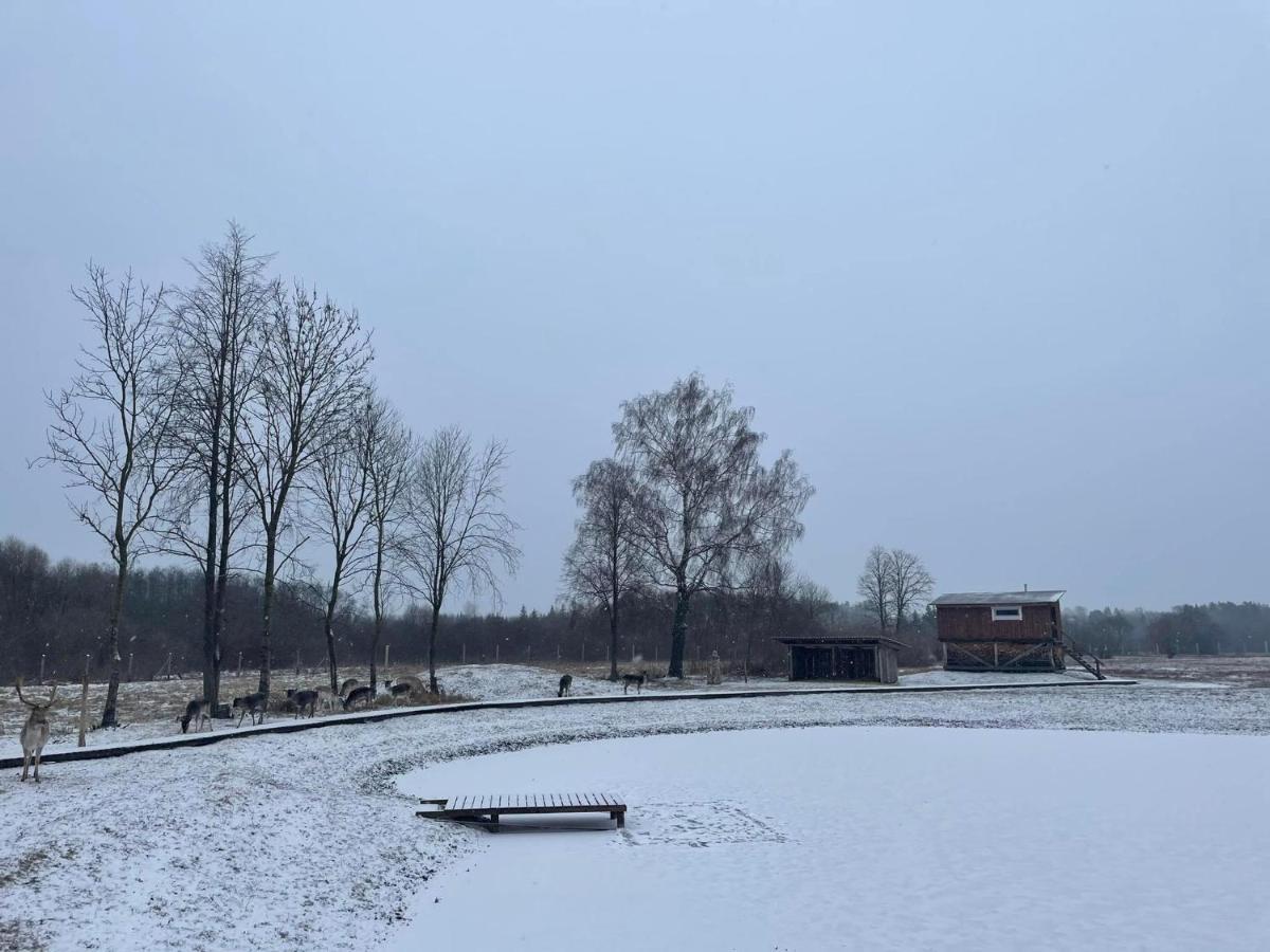 Arciau Gamtos Anyksciai Villa Kurkliai Kültér fotó
